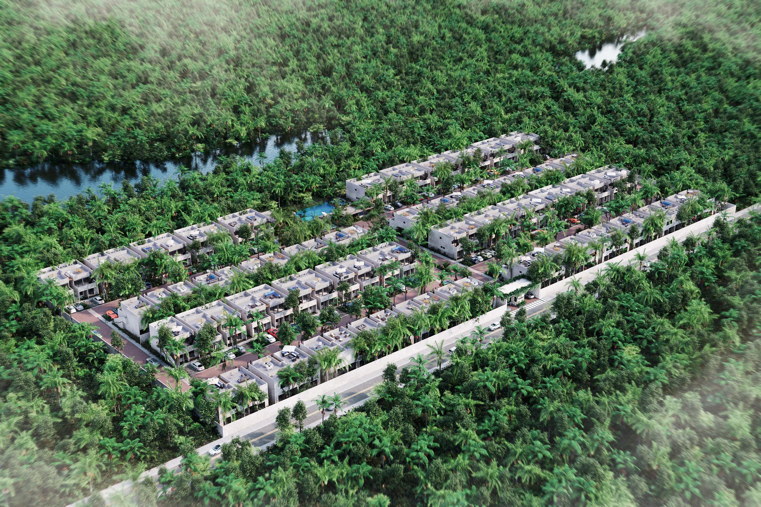 KAONI  (La Reserva)